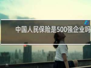 中国人民保险是500强企业吗