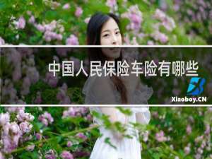 中国人民保险车险有哪些