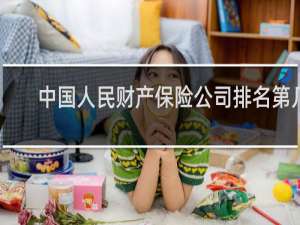 中国人民财产保险公司排名第几