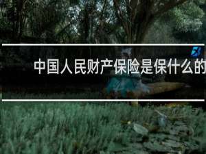 中国人民财产保险是保什么的