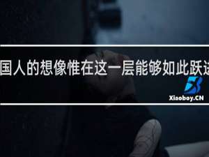 中国人的想像惟在这一层能够如此跃进什么梗