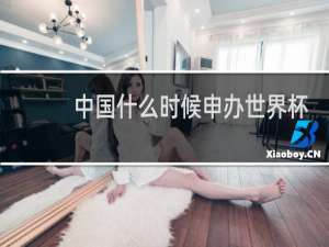 中国什么时候申办世界杯?