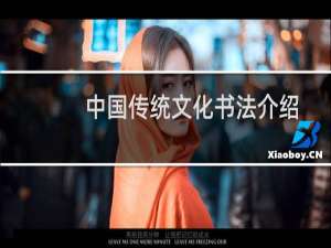 中国传统文化书法介绍