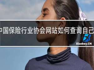 中国保险行业协会网站如何查询自己的保单