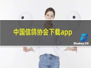 中国信鸽协会下载app