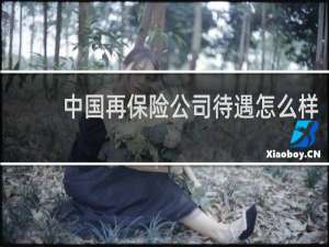 中国再保险公司待遇怎么样