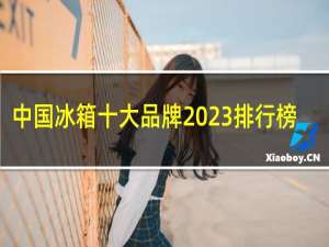 中国冰箱十大品牌2023排行榜