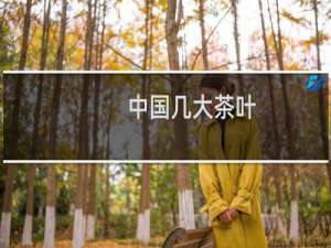 中国几大茶叶