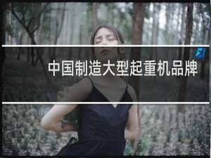 中国制造大型起重机品牌