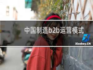 中国制造b2b运营模式