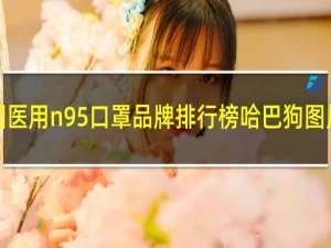 中国医用n95口罩品牌排行榜哈巴狗图片