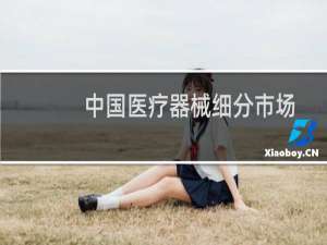 中国医疗器械细分市场