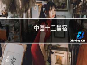 中国十二星宿