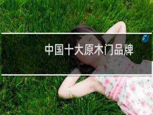 中国十大原木门品牌