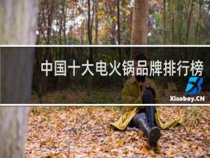 中国十大电火锅品牌排行榜