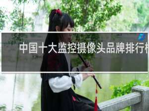 中国十大监控摄像头品牌排行榜