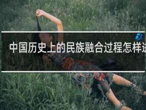 中国历史上的民族融合过程怎样进行