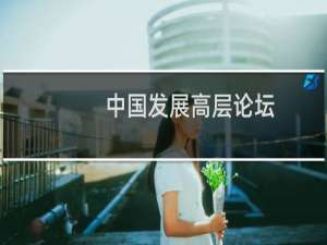 中国发展高层论坛