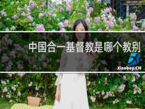 中国合一基督教是哪个教别