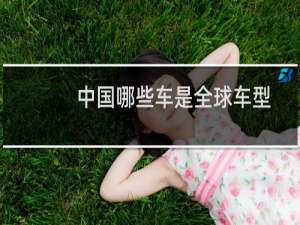 中国哪些车是全球车型