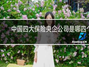 中国四大保险央企公司是哪四个