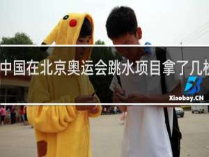 中国在北京奥运会跳水项目拿了几枚金牌