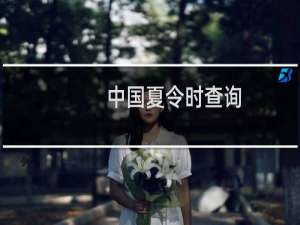 中国夏令时查询