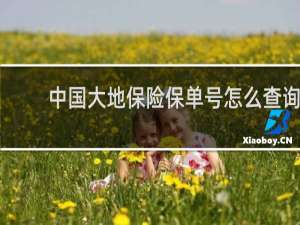 中国大地保险保单号怎么查询