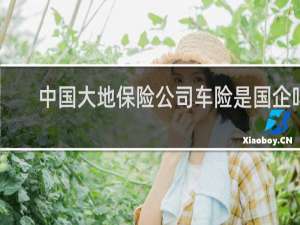 中国大地保险公司车险是国企吗