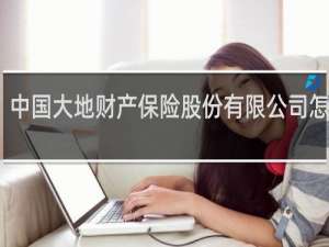 中国大地财产保险股份有限公司怎么样