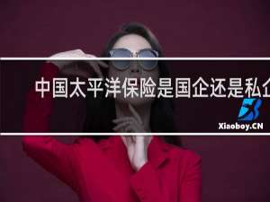 中国太平洋保险是国企还是私企
