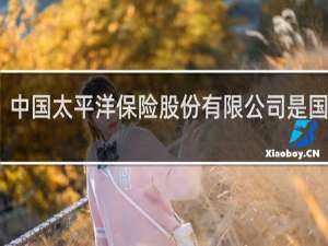 中国太平洋保险股份有限公司是国企吗