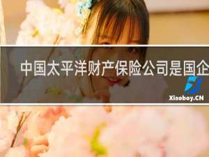 中国太平洋财产保险公司是国企吗