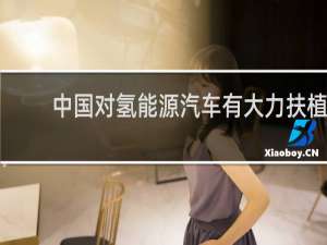 中国对氢能源汽车有大力扶植,政策补贴吗