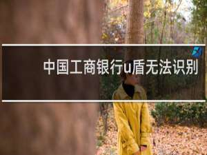 中国工商银行u盾无法识别（工商银行u盾无法识别）