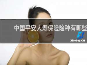中国平安人寿保险险种有哪些