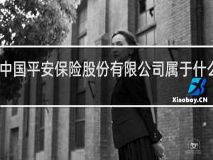 中国平安保险股份有限公司属于什么企业
