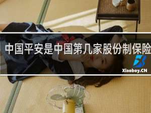 中国平安是中国第几家股份制保险企业