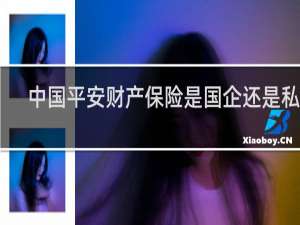 中国平安财产保险是国企还是私企
