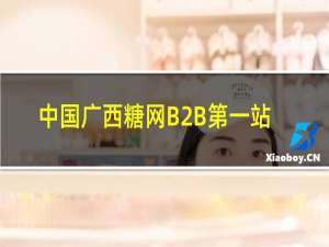 中国广西糖网B2B第一站