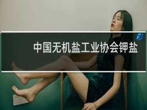 中国无机盐工业协会钾盐钾肥行业分会