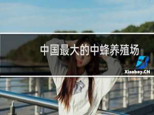 中国最大的中蜂养殖场