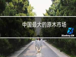 中国最大的原木市场