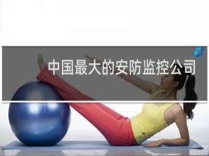 中国最大的安防监控公司