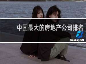 中国最大的房地产公司排名