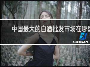 中国最大的白酒批发市场在哪里