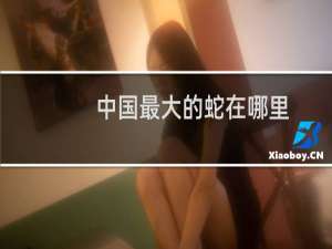 中国最大的蛇在哪里（它的介绍）
