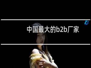中国最大的b2b厂家