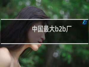 中国最大b2b厂