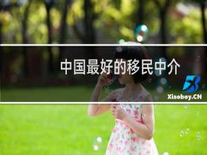 中国最好的移民中介